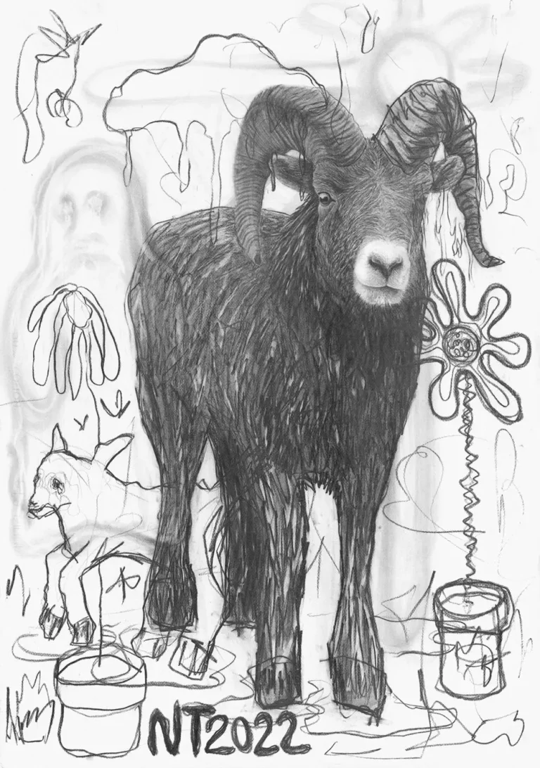 BKK, 100 x 70 cm, blyant på papir