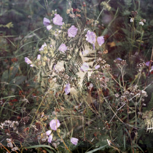 Noteworthy encounters of brief moments #01