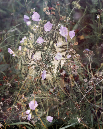 Noteworthy encounters of brief moments #01