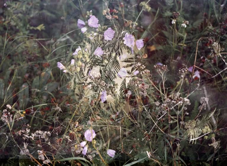 Noteworthy encounters of brief moments #01