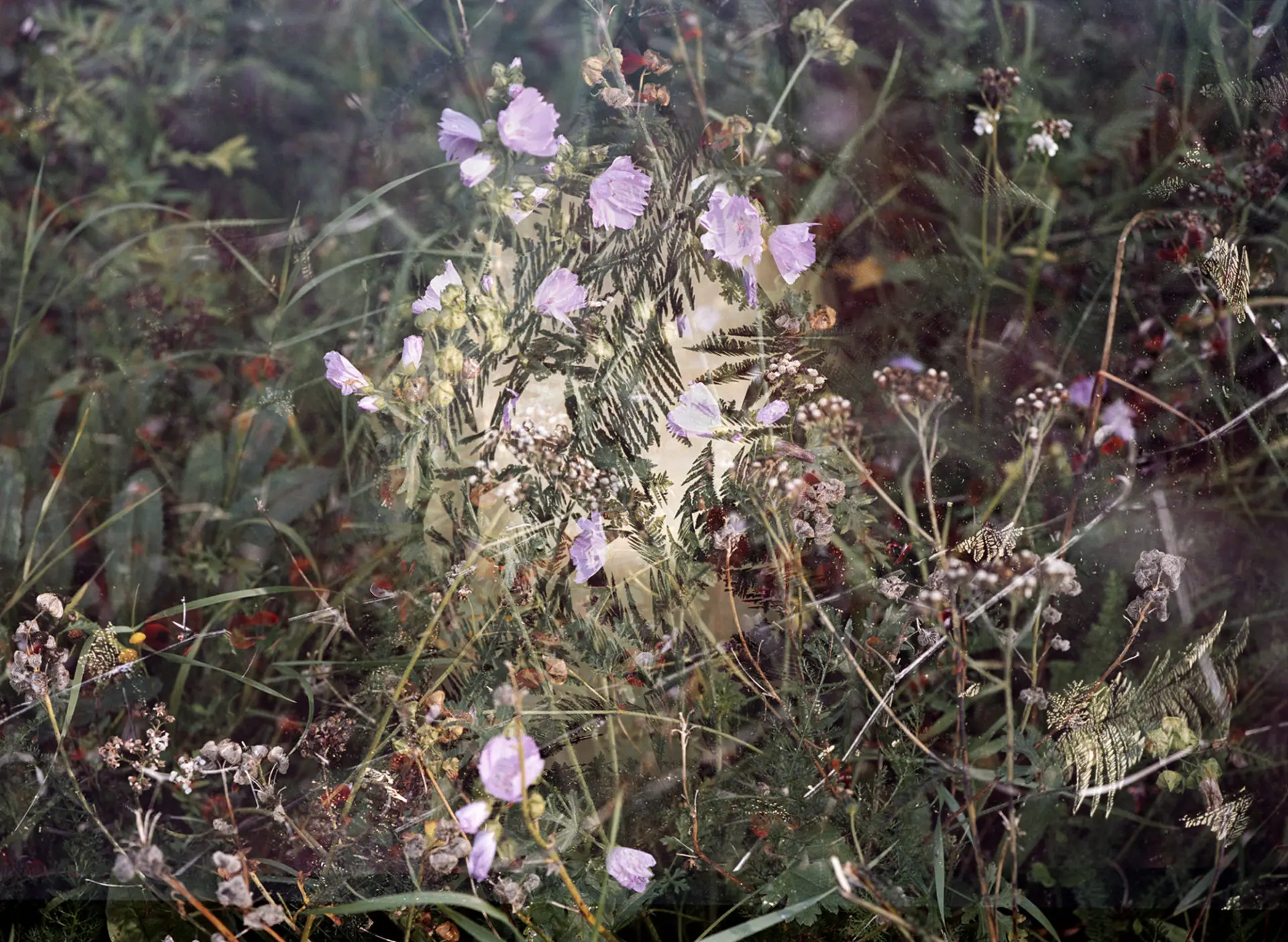 Noteworthy encounters of brief moments #01