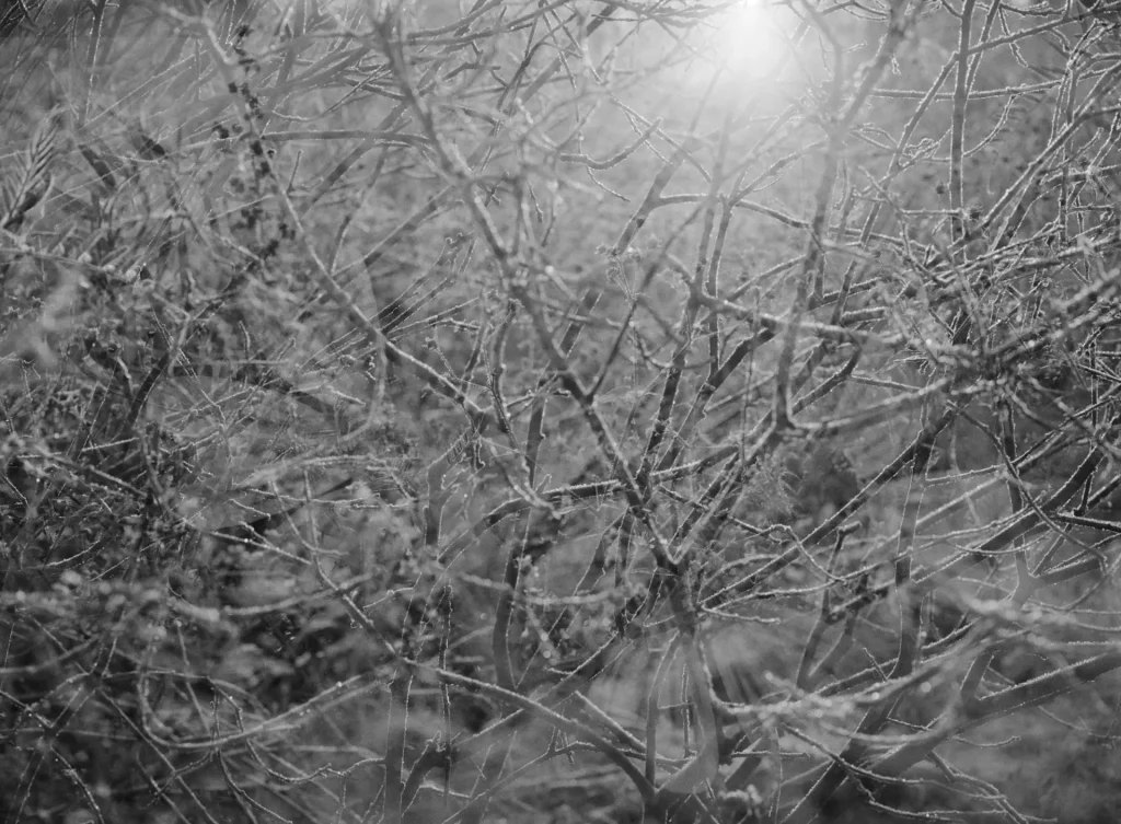 Noteworthy encounters of brief moments #02