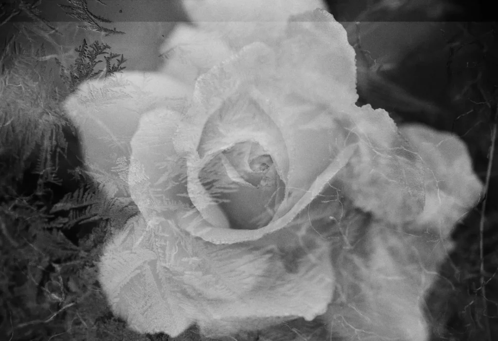 Noteworthy encounters of brief moments #06