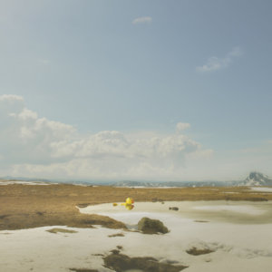 All that was left was a yellow duck