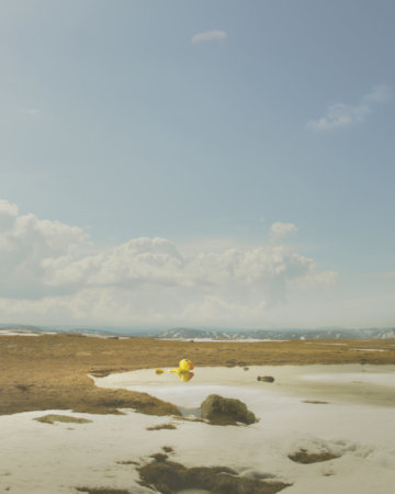 All that was left was a yellow duck