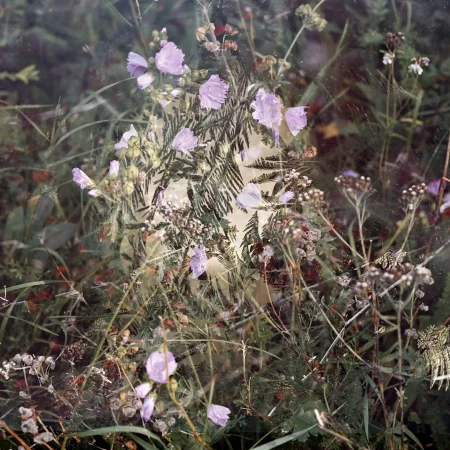 Noteworthy encounters of brief moments #01